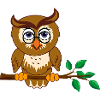 Smart Owl on Tree Branch
