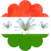Hungary Flag Hungarian Flag