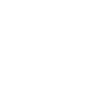 Anchor Seagull