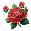 Red Rose – Rockabilly