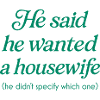 He Wanted a Housewife