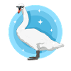 Cygnes Cygnes Swan Lover Cadeaux