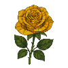 Yellow Mosaic Rose