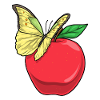 Papillon Pomme Fruit