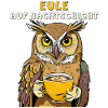 OWL ON NIGHT SHIFT