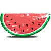 Watermelon Design Slice Used