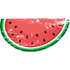 Watermelon Design Slice Used