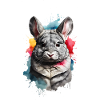 Chinchilla