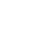 Pizza Lover