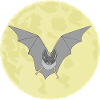 Bat