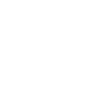 Cricket Évolution