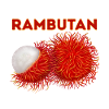 INDONET Rambutan