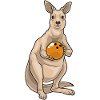 Kangaroo Bowling Bowling Ball