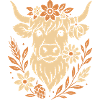 Highland Cow - Highland Beef with Flower