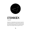 Sternzeichen STEINBOCK Poster Zodiac