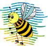 Insect