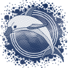 Delfin