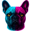 French Bulldog Bully neon