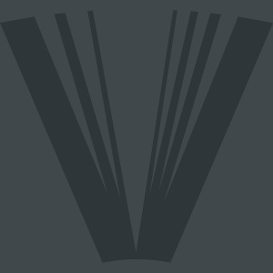 VEILED VOLUMES