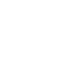 The wings