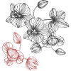 Vrille de fleur