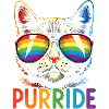 "Purrride" Cool Cat with Rainbow Aviators