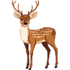 proud deer