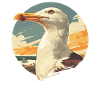 Seagulls Seagull