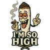 Doobie the Dude