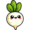 Radish / Vegetables
