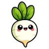 Radish / Vegetables