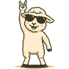 Rock’n’Wool