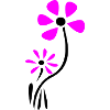 Blossom Fantasy