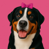 Big Smile by PawStyle