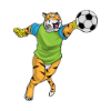 Tiger Goalkeeper Football