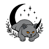Nachtkatze