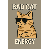 Cool Cat