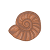 Fossiliensucher Auf Spurensuche