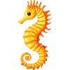 Seepferdchen