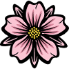 Pink Flower Splendor