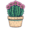 Flowering pot cactus