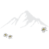 Bergverliebt Edelweiss