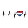 Netherlands Holland Flag Flags