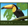 Toucan Spiritanimal