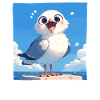 Seagulls Seagull