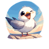 Seagulls Seagull