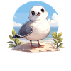 Seagulls Seagull