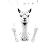 Direct alpaca announcement