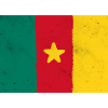 Flag of Cameroon