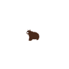 Bear heartbeat